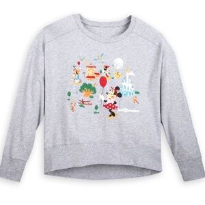 Disney Parks Gray Graphic Sweatshirt